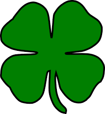 Jennifer offers tips on surviving the Holyoke St Patrick’s Day Parade