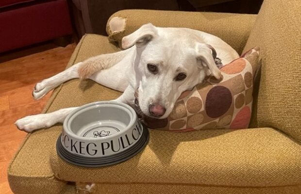 My weekend in six photos. Home Free, golf and a K9 Keg Pull!
