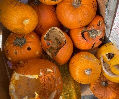 My weekend in 10 photos. Pumpkin Smash!