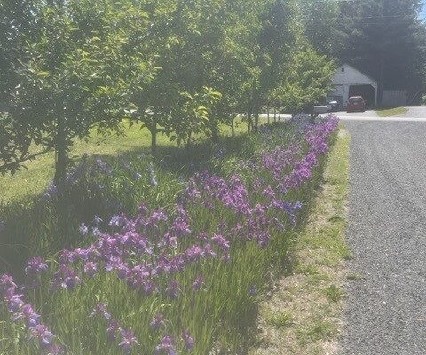 My three day weekend in five photos. My three day weekend in five photos.